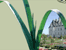 DVD "Ch�teau de Villandry"